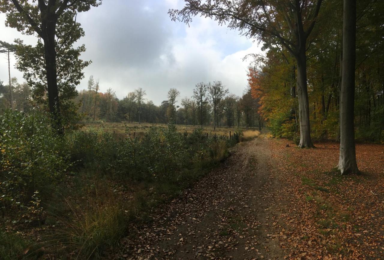 Villa Helena Linden Eksteriør bilde